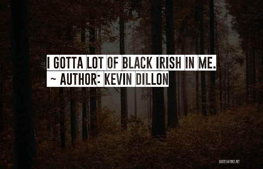 Kevin Dillon Quotes: I Gotta Lot Of Black Irish In Me.