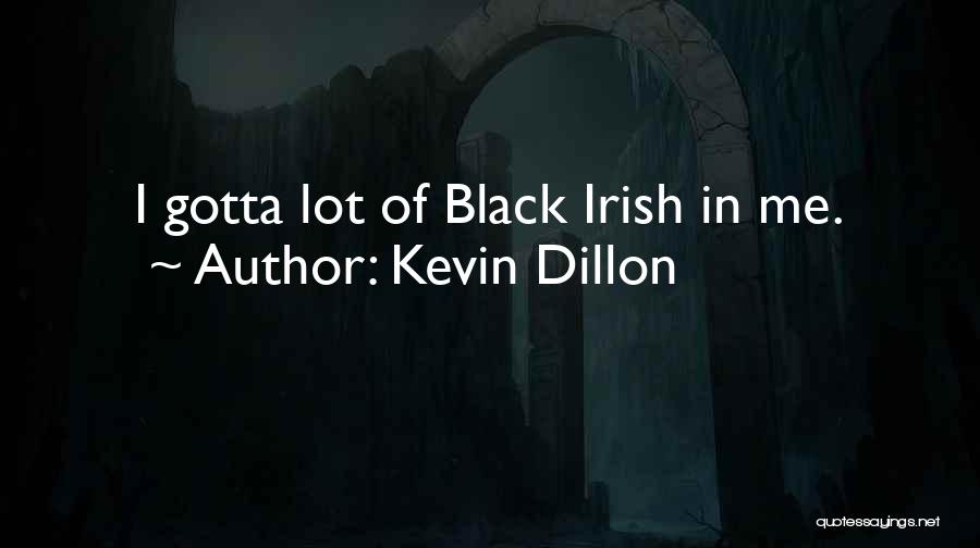Kevin Dillon Quotes: I Gotta Lot Of Black Irish In Me.