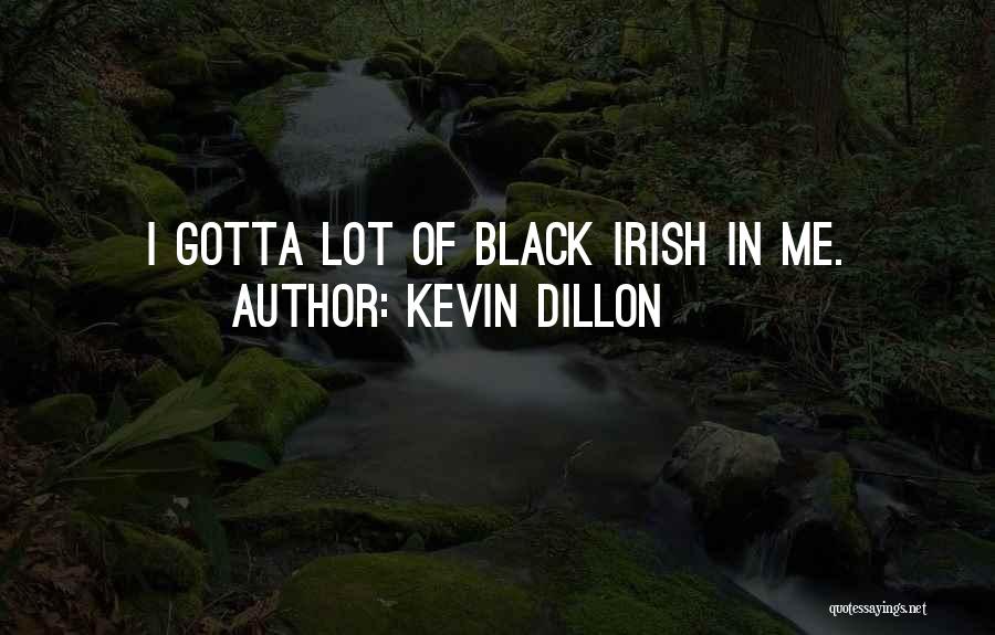 Kevin Dillon Quotes: I Gotta Lot Of Black Irish In Me.