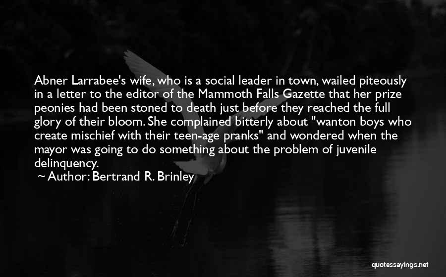 Bertrand R. Brinley Quotes: Abner Larrabee's Wife, Who Is A Social Leader In Town, Wailed Piteously In A Letter To The Editor Of The