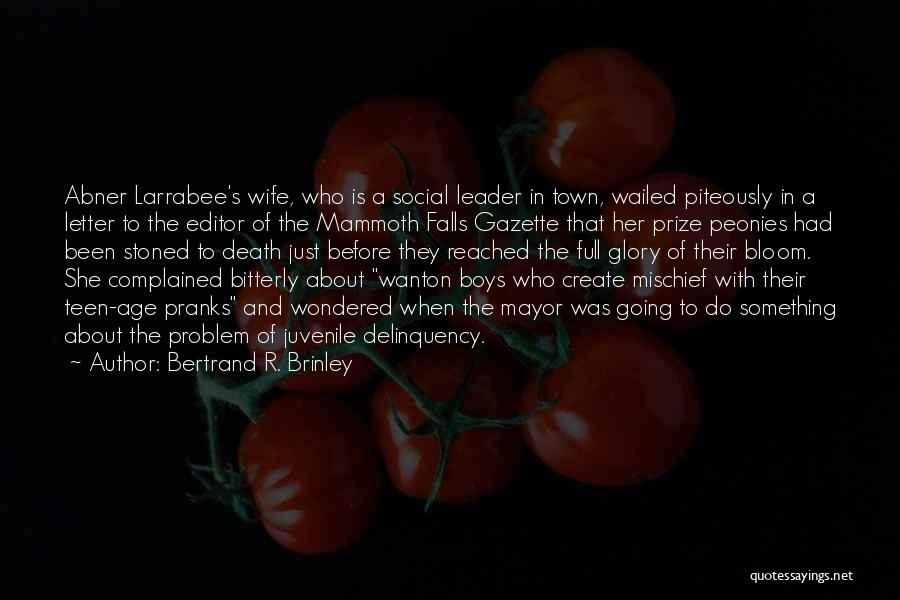 Bertrand R. Brinley Quotes: Abner Larrabee's Wife, Who Is A Social Leader In Town, Wailed Piteously In A Letter To The Editor Of The