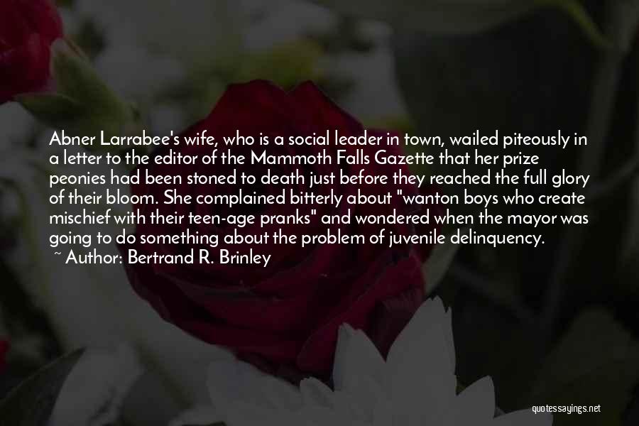 Bertrand R. Brinley Quotes: Abner Larrabee's Wife, Who Is A Social Leader In Town, Wailed Piteously In A Letter To The Editor Of The