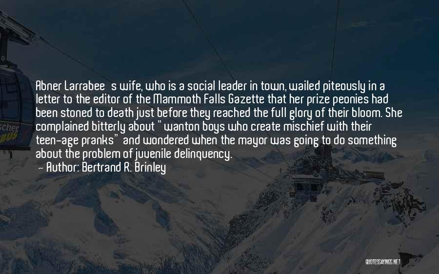 Bertrand R. Brinley Quotes: Abner Larrabee's Wife, Who Is A Social Leader In Town, Wailed Piteously In A Letter To The Editor Of The