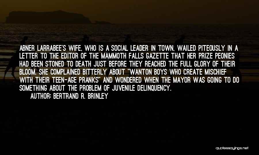 Bertrand R. Brinley Quotes: Abner Larrabee's Wife, Who Is A Social Leader In Town, Wailed Piteously In A Letter To The Editor Of The