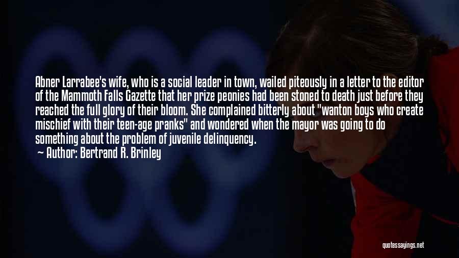 Bertrand R. Brinley Quotes: Abner Larrabee's Wife, Who Is A Social Leader In Town, Wailed Piteously In A Letter To The Editor Of The