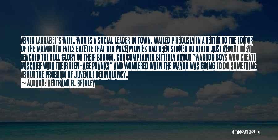 Bertrand R. Brinley Quotes: Abner Larrabee's Wife, Who Is A Social Leader In Town, Wailed Piteously In A Letter To The Editor Of The