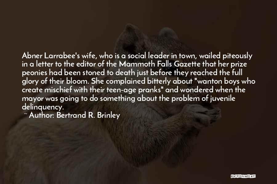 Bertrand R. Brinley Quotes: Abner Larrabee's Wife, Who Is A Social Leader In Town, Wailed Piteously In A Letter To The Editor Of The