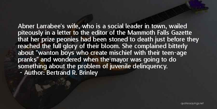 Bertrand R. Brinley Quotes: Abner Larrabee's Wife, Who Is A Social Leader In Town, Wailed Piteously In A Letter To The Editor Of The