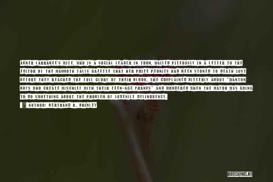 Bertrand R. Brinley Quotes: Abner Larrabee's Wife, Who Is A Social Leader In Town, Wailed Piteously In A Letter To The Editor Of The