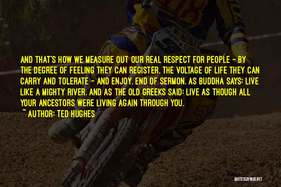 Ted Hughes Quotes: And That's How We Measure Out Our Real Respect For People - By The Degree Of Feeling They Can Register,