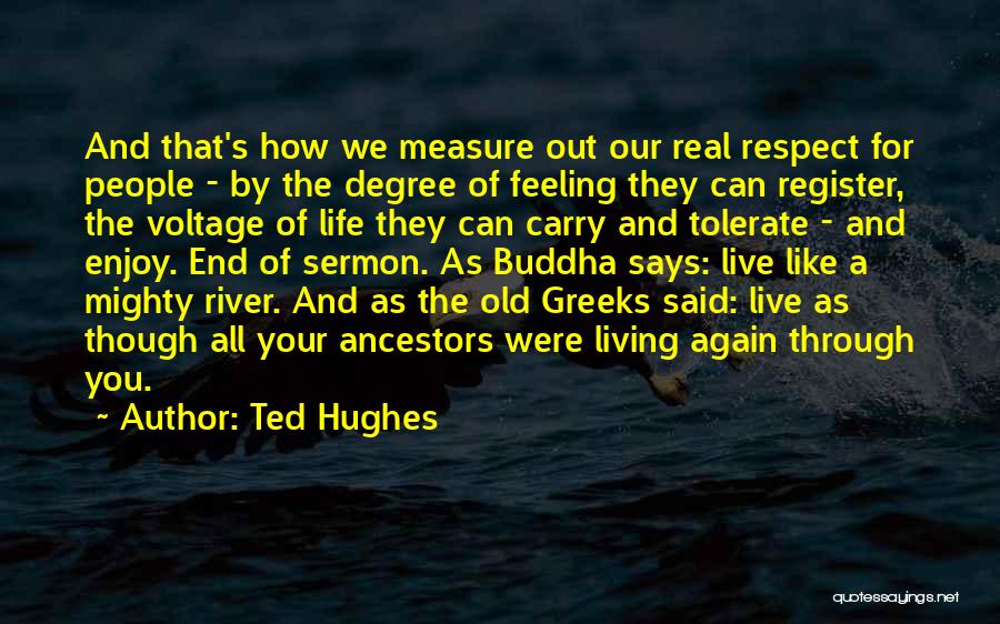 Ted Hughes Quotes: And That's How We Measure Out Our Real Respect For People - By The Degree Of Feeling They Can Register,