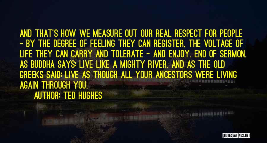 Ted Hughes Quotes: And That's How We Measure Out Our Real Respect For People - By The Degree Of Feeling They Can Register,