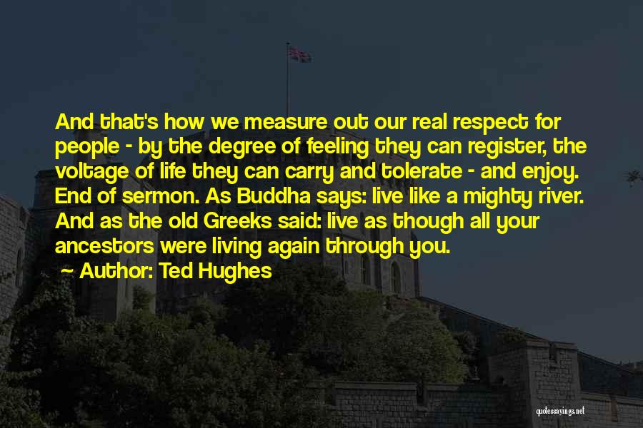 Ted Hughes Quotes: And That's How We Measure Out Our Real Respect For People - By The Degree Of Feeling They Can Register,