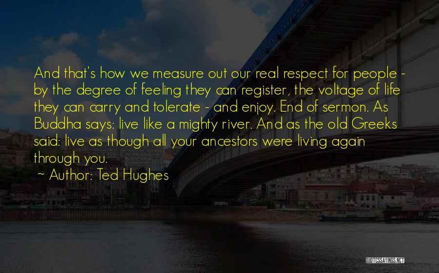 Ted Hughes Quotes: And That's How We Measure Out Our Real Respect For People - By The Degree Of Feeling They Can Register,