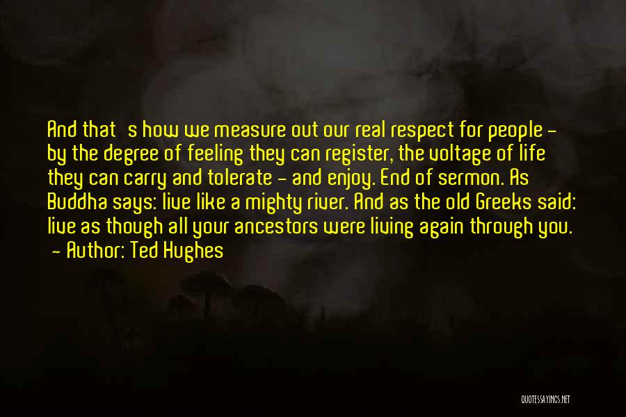 Ted Hughes Quotes: And That's How We Measure Out Our Real Respect For People - By The Degree Of Feeling They Can Register,