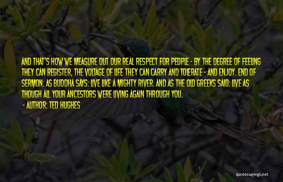 Ted Hughes Quotes: And That's How We Measure Out Our Real Respect For People - By The Degree Of Feeling They Can Register,