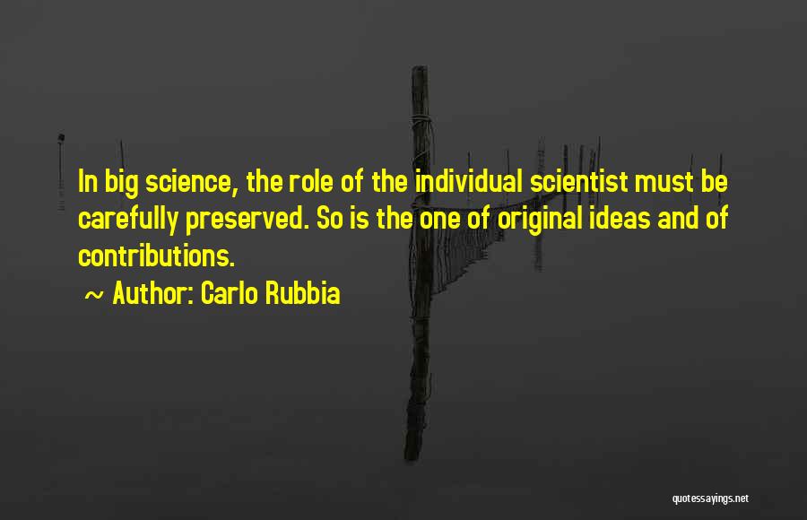 Carlo Rubbia Quotes: In Big Science, The Role Of The Individual Scientist Must Be Carefully Preserved. So Is The One Of Original Ideas