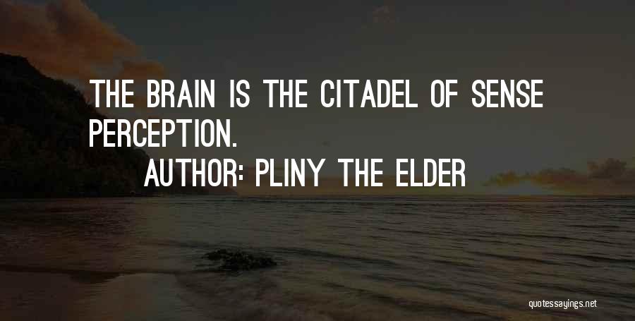 Pliny The Elder Quotes: The Brain Is The Citadel Of Sense Perception.