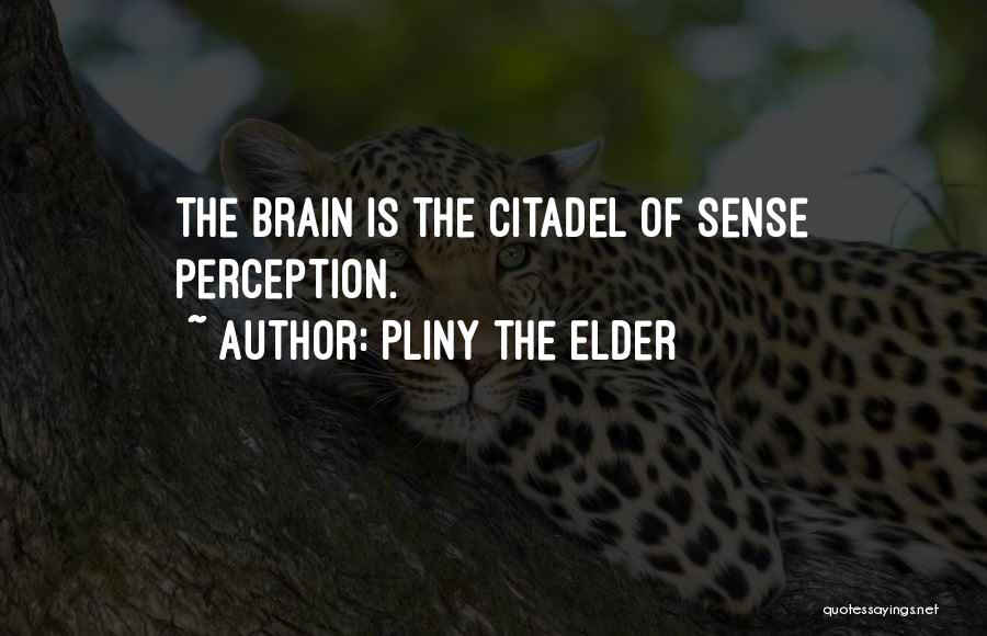Pliny The Elder Quotes: The Brain Is The Citadel Of Sense Perception.