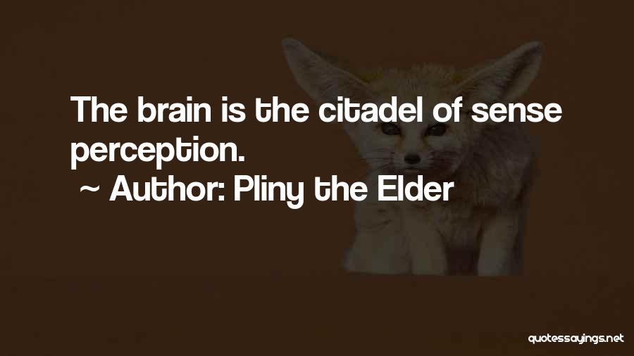 Pliny The Elder Quotes: The Brain Is The Citadel Of Sense Perception.