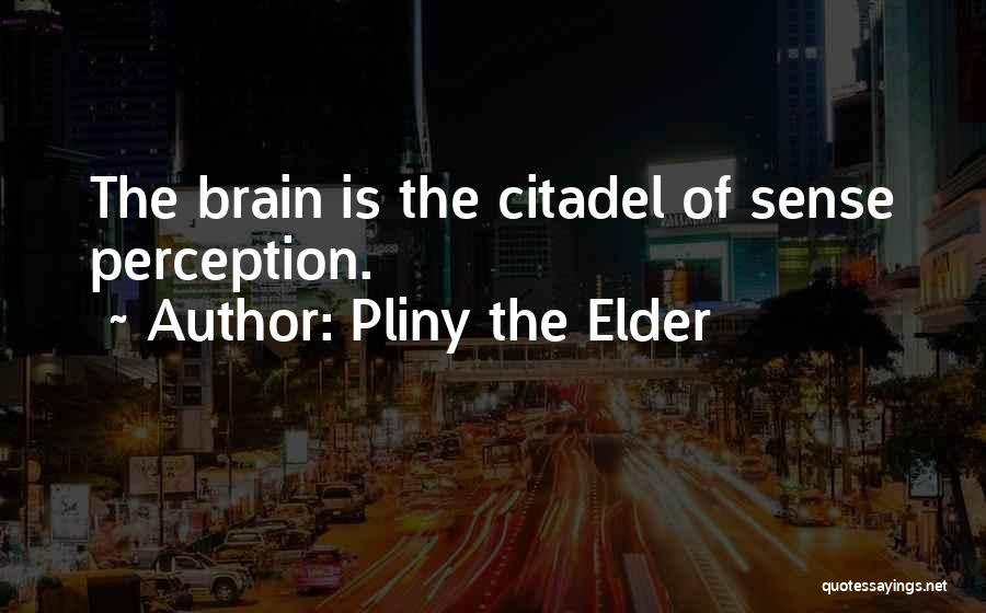 Pliny The Elder Quotes: The Brain Is The Citadel Of Sense Perception.