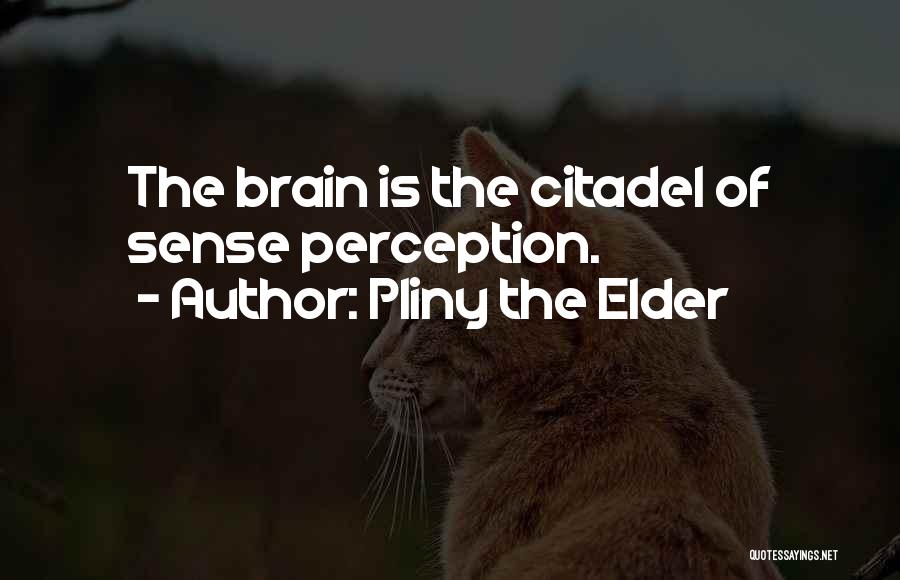 Pliny The Elder Quotes: The Brain Is The Citadel Of Sense Perception.