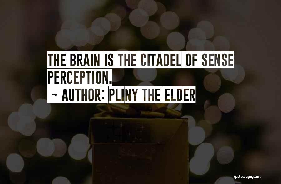 Pliny The Elder Quotes: The Brain Is The Citadel Of Sense Perception.