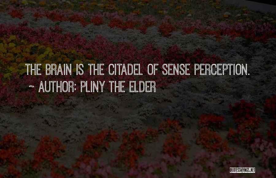 Pliny The Elder Quotes: The Brain Is The Citadel Of Sense Perception.