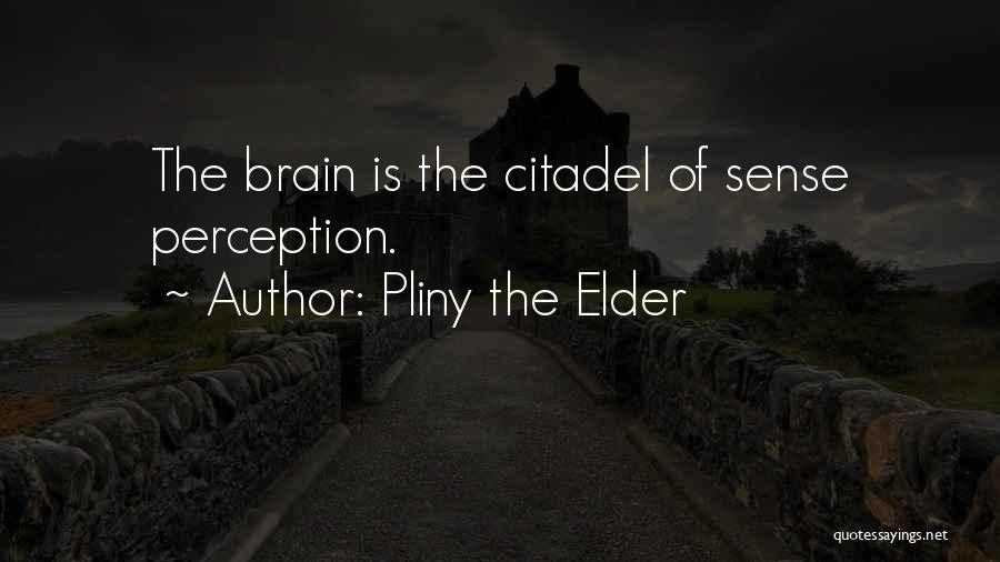 Pliny The Elder Quotes: The Brain Is The Citadel Of Sense Perception.