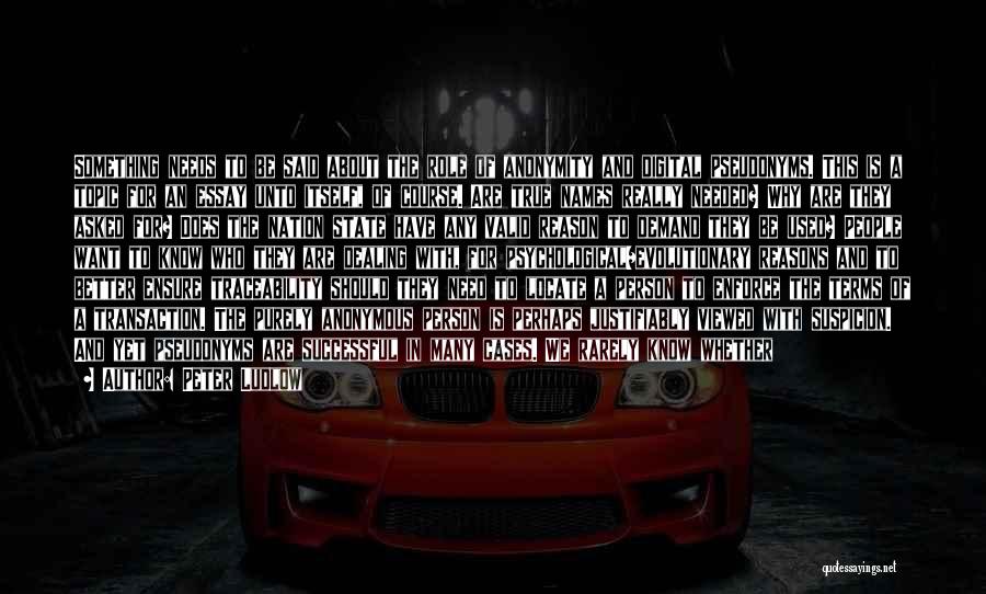 Peter Ludlow Quotes: Something Needs To Be Said About The Role Of Anonymity And Digital Pseudonyms. This Is A Topic For An Essay