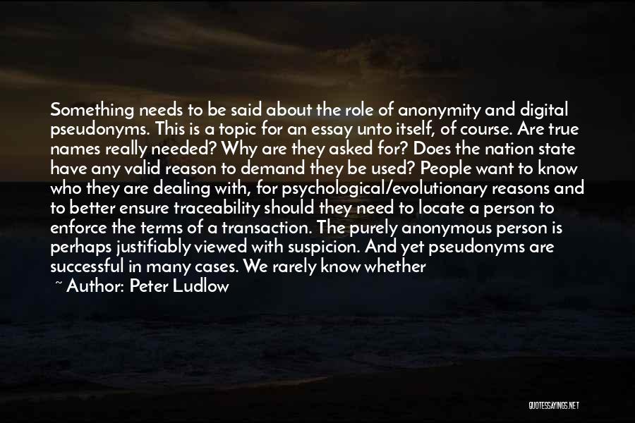 Peter Ludlow Quotes: Something Needs To Be Said About The Role Of Anonymity And Digital Pseudonyms. This Is A Topic For An Essay