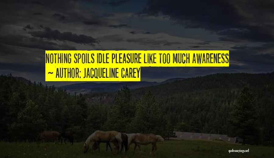 Jacqueline Carey Quotes: Nothing Spoils Idle Pleasure Like Too Much Awareness
