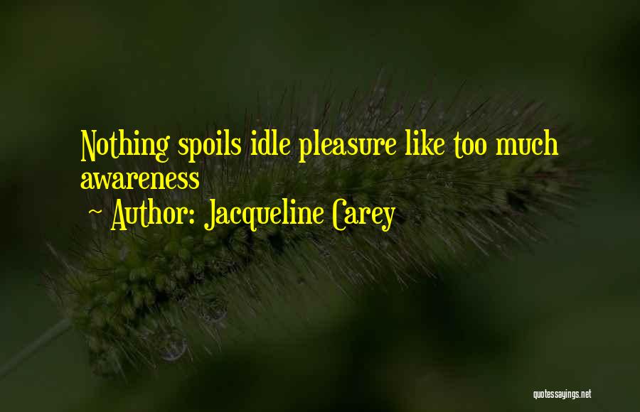 Jacqueline Carey Quotes: Nothing Spoils Idle Pleasure Like Too Much Awareness