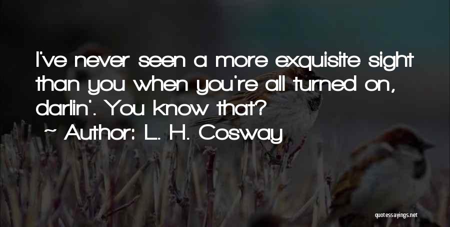 L. H. Cosway Quotes: I've Never Seen A More Exquisite Sight Than You When You're All Turned On, Darlin'. You Know That?