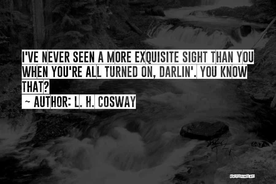 L. H. Cosway Quotes: I've Never Seen A More Exquisite Sight Than You When You're All Turned On, Darlin'. You Know That?