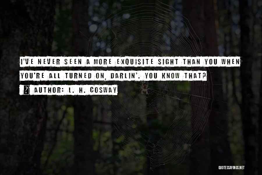 L. H. Cosway Quotes: I've Never Seen A More Exquisite Sight Than You When You're All Turned On, Darlin'. You Know That?