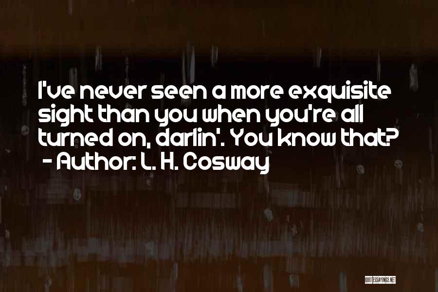 L. H. Cosway Quotes: I've Never Seen A More Exquisite Sight Than You When You're All Turned On, Darlin'. You Know That?