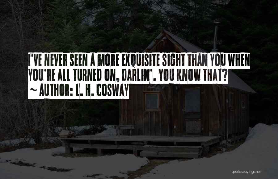 L. H. Cosway Quotes: I've Never Seen A More Exquisite Sight Than You When You're All Turned On, Darlin'. You Know That?