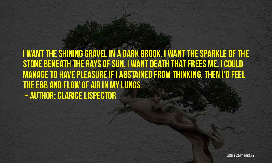 Clarice Lispector Quotes: I Want The Shining Gravel In A Dark Brook. I Want The Sparkle Of The Stone Beneath The Rays Of