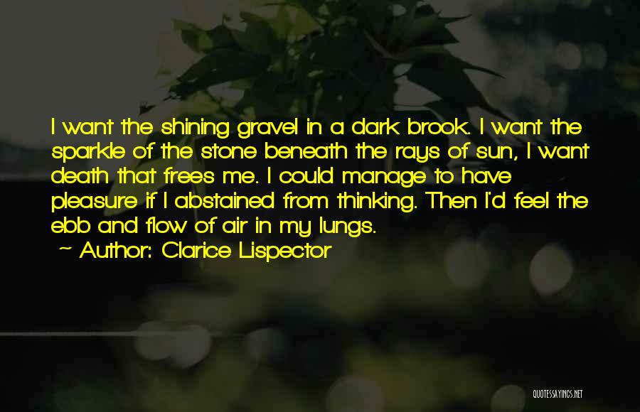 Clarice Lispector Quotes: I Want The Shining Gravel In A Dark Brook. I Want The Sparkle Of The Stone Beneath The Rays Of