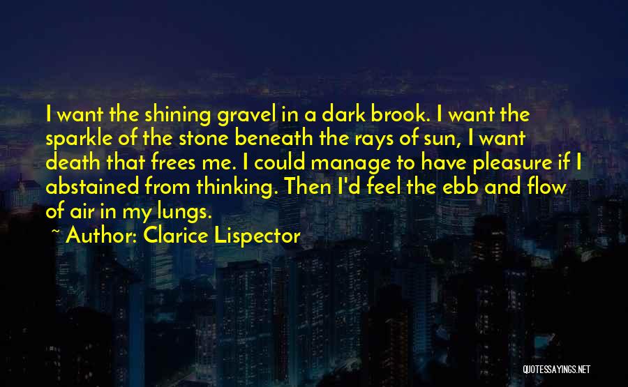Clarice Lispector Quotes: I Want The Shining Gravel In A Dark Brook. I Want The Sparkle Of The Stone Beneath The Rays Of