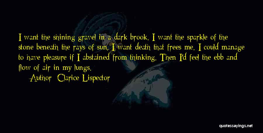 Clarice Lispector Quotes: I Want The Shining Gravel In A Dark Brook. I Want The Sparkle Of The Stone Beneath The Rays Of