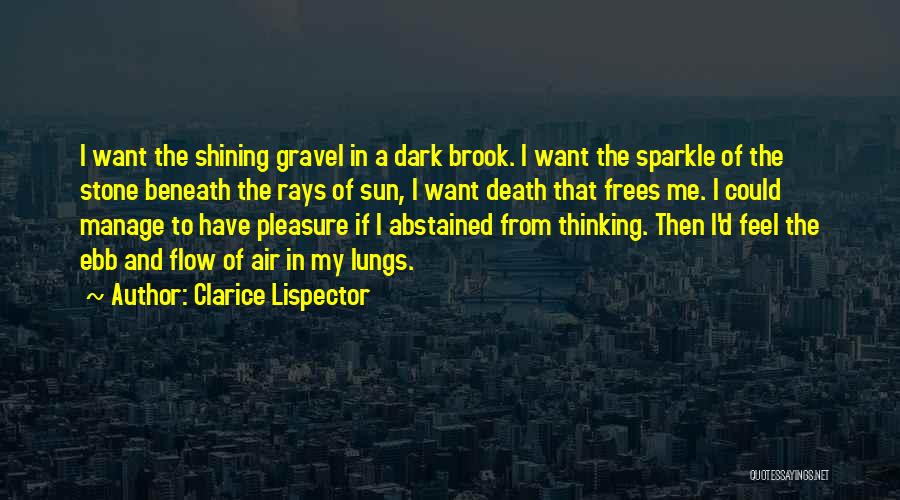 Clarice Lispector Quotes: I Want The Shining Gravel In A Dark Brook. I Want The Sparkle Of The Stone Beneath The Rays Of