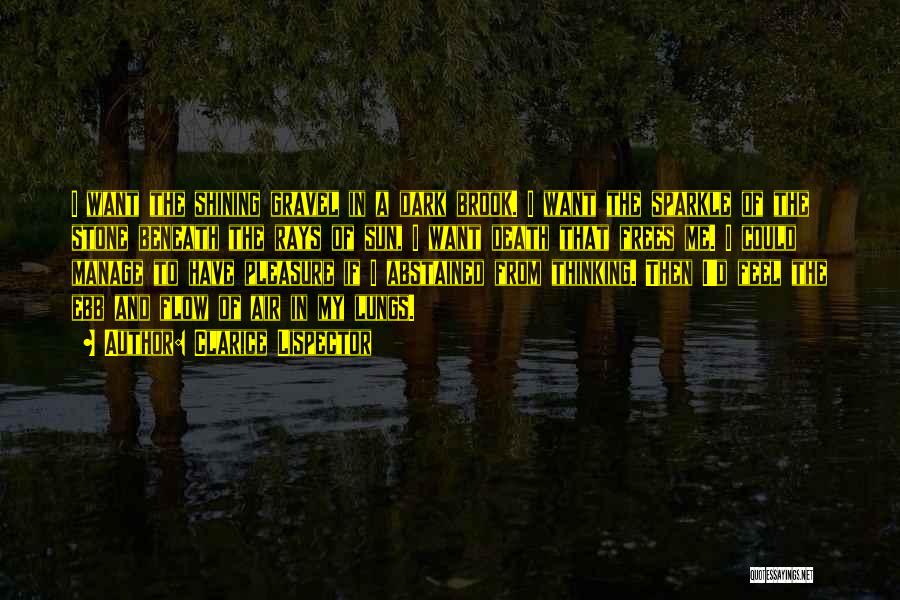 Clarice Lispector Quotes: I Want The Shining Gravel In A Dark Brook. I Want The Sparkle Of The Stone Beneath The Rays Of