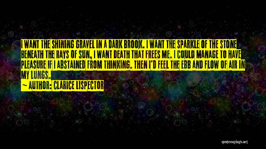 Clarice Lispector Quotes: I Want The Shining Gravel In A Dark Brook. I Want The Sparkle Of The Stone Beneath The Rays Of