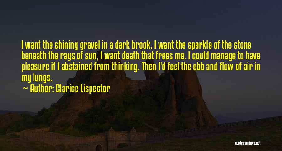 Clarice Lispector Quotes: I Want The Shining Gravel In A Dark Brook. I Want The Sparkle Of The Stone Beneath The Rays Of