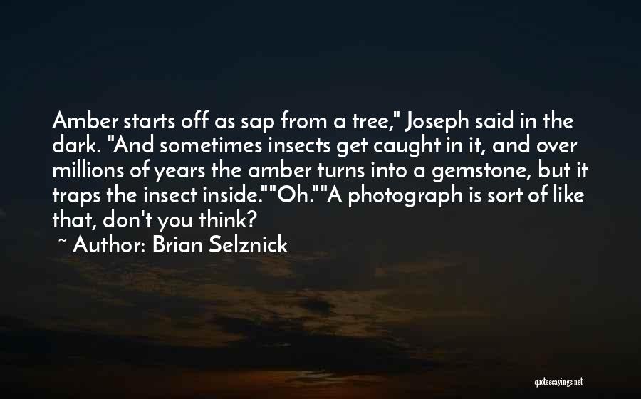 Brian Selznick Quotes: Amber Starts Off As Sap From A Tree, Joseph Said In The Dark. And Sometimes Insects Get Caught In It,