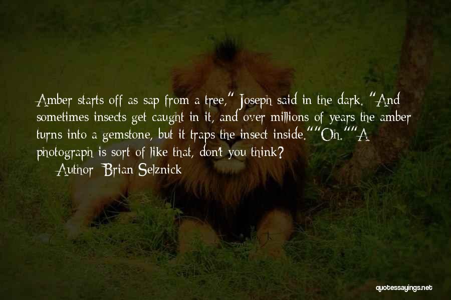 Brian Selznick Quotes: Amber Starts Off As Sap From A Tree, Joseph Said In The Dark. And Sometimes Insects Get Caught In It,