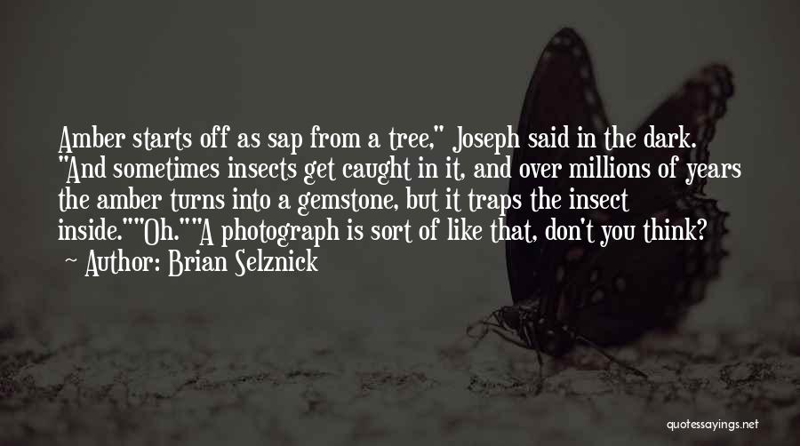 Brian Selznick Quotes: Amber Starts Off As Sap From A Tree, Joseph Said In The Dark. And Sometimes Insects Get Caught In It,