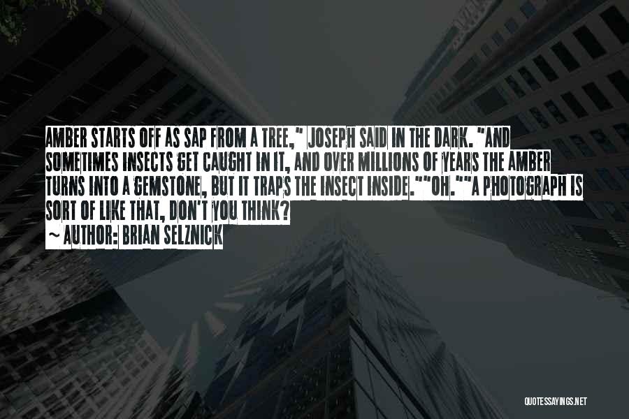 Brian Selznick Quotes: Amber Starts Off As Sap From A Tree, Joseph Said In The Dark. And Sometimes Insects Get Caught In It,